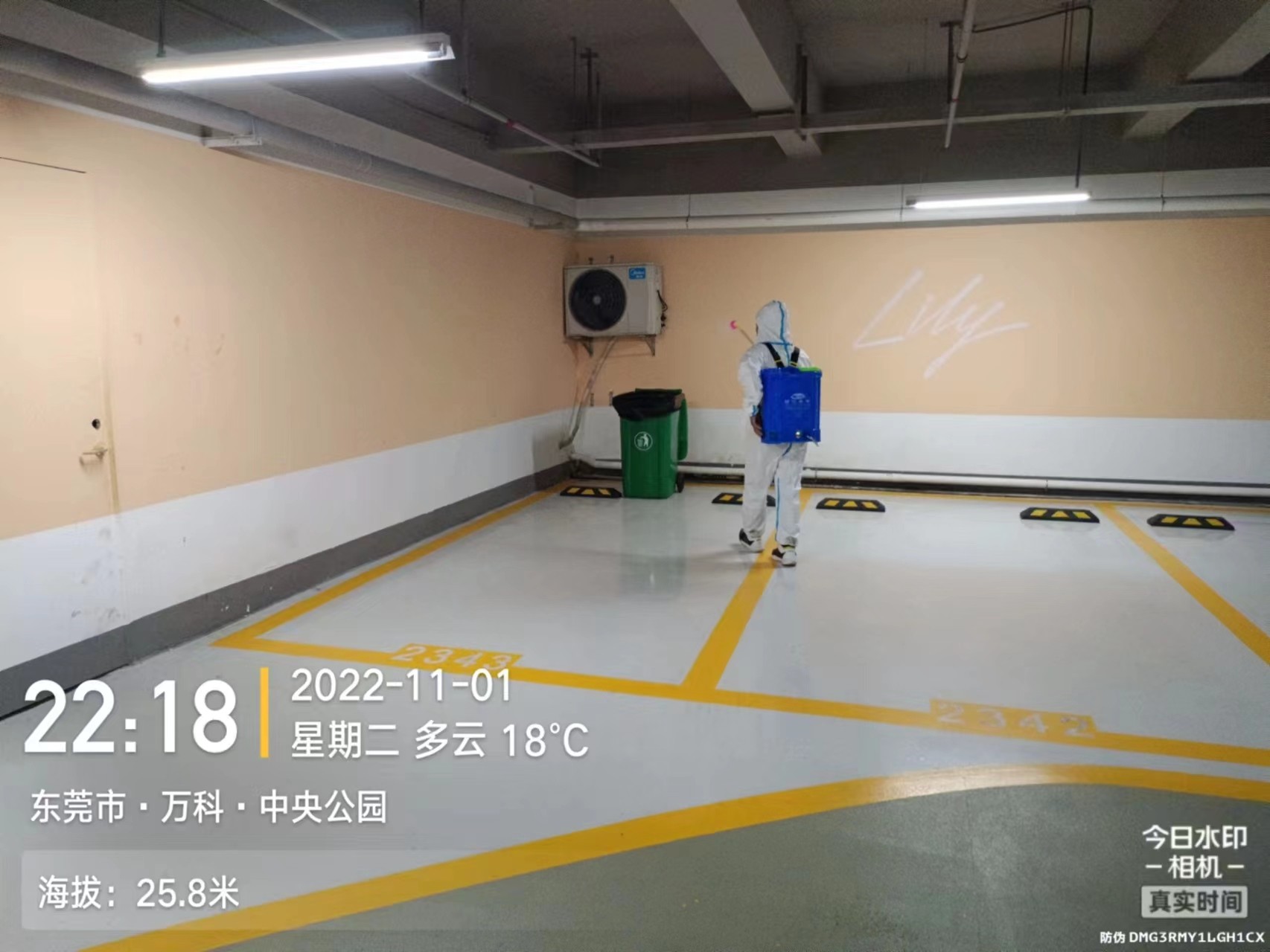 項目圖片