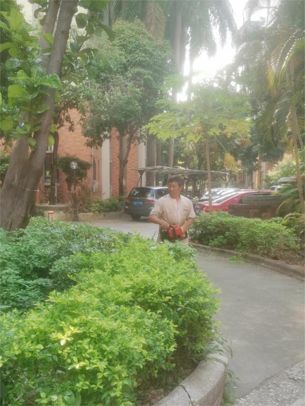 項目圖片